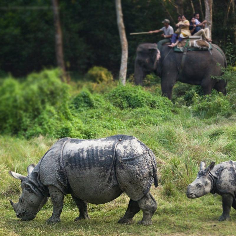 Nature & Wildlife